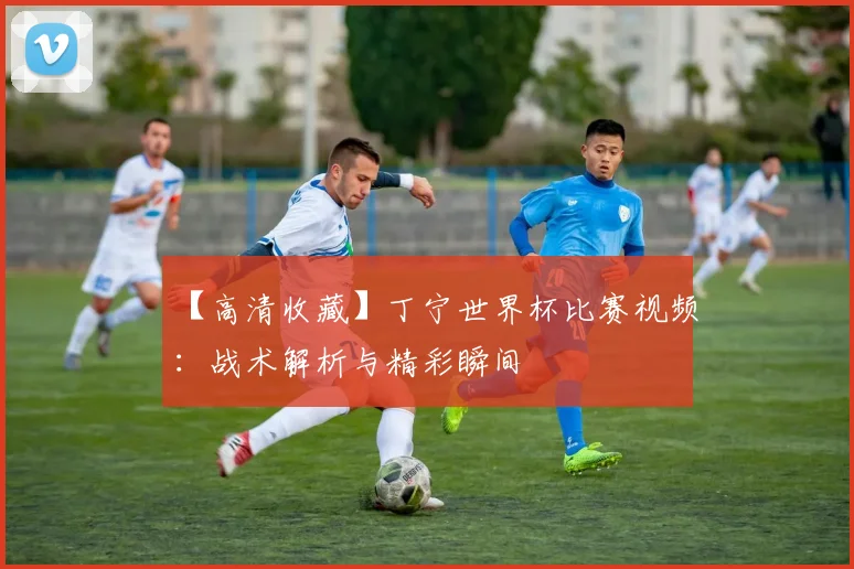 【高清收藏】丁宁世界杯比赛视频：战术解析与精彩瞬间