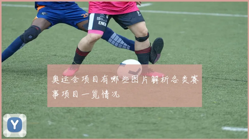 奥运会项目有哪些图片解析各类赛事项目一览情况